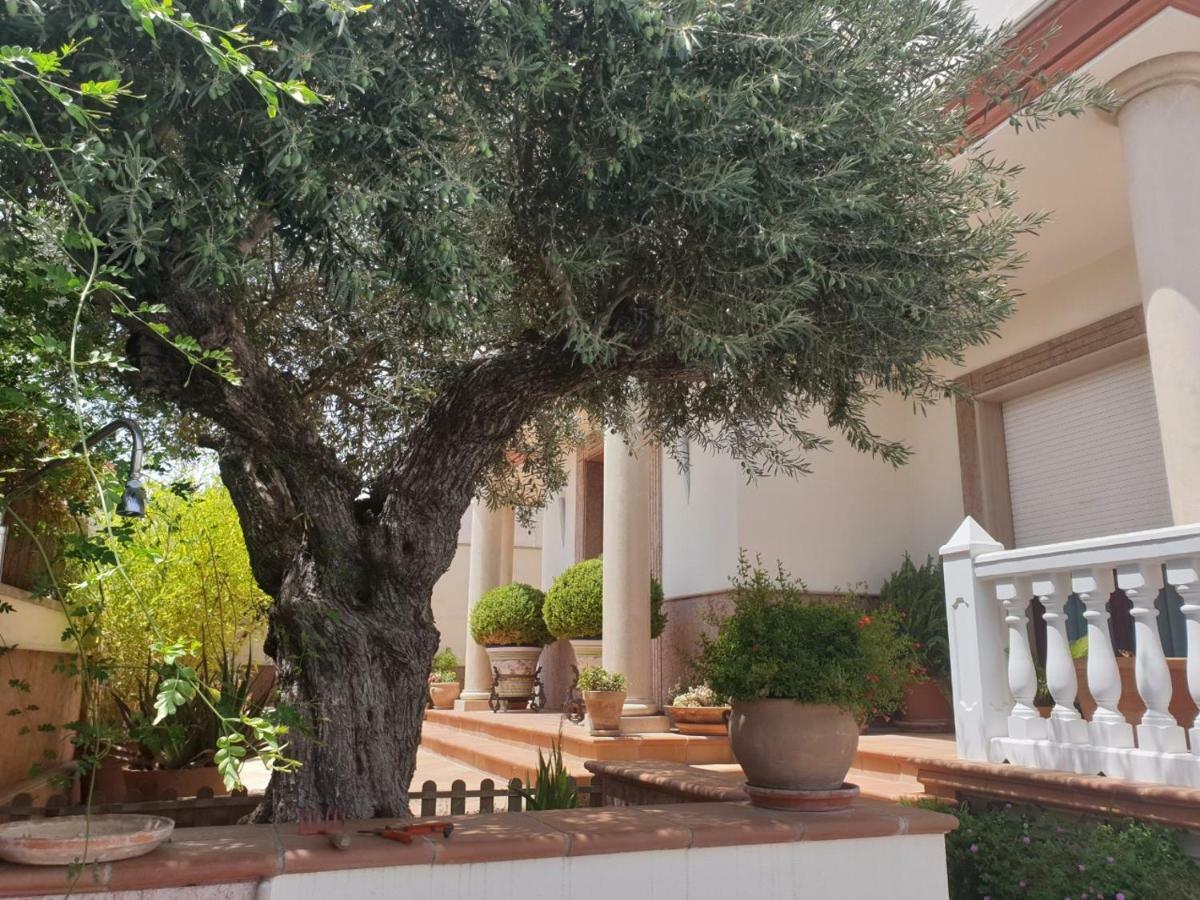 Alojamiento El Olivo Ronda Exterior foto
